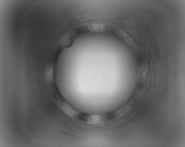 X0000071900717200607141334