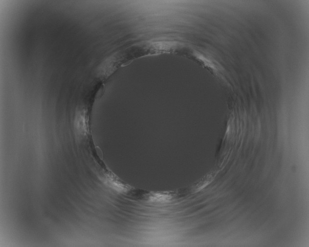 X0000071900718200607141334