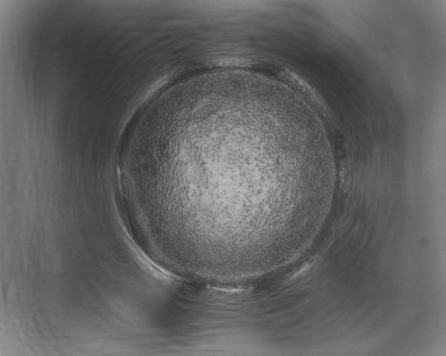 X0000071900725200607141333