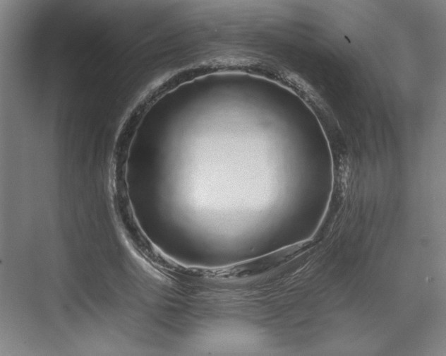 X0000071900726200607141333