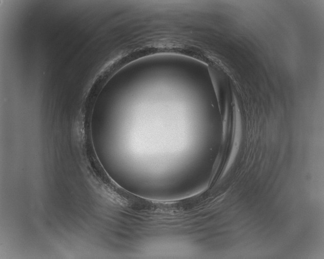 X0000071900727200607141333