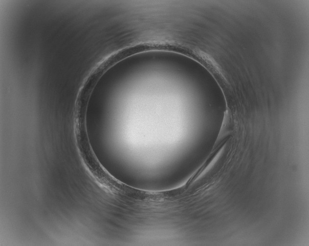 X0000071900728200607141333