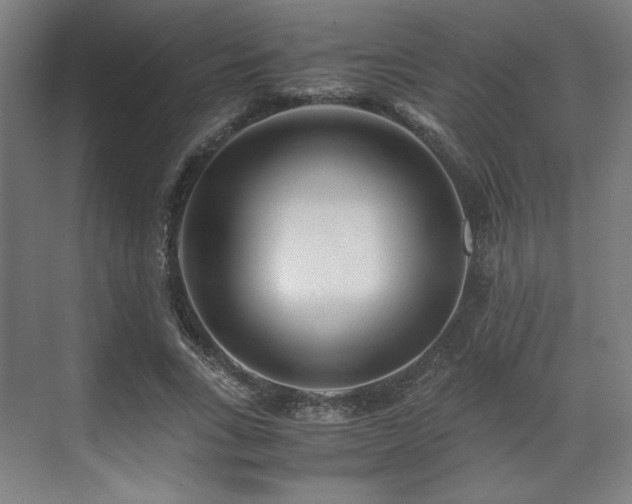 X0000071900735200607141334