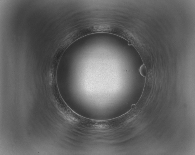 X0000071900741200607141334