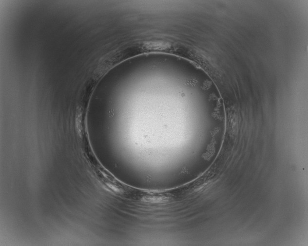 X0000071900745200607141334