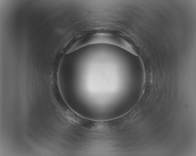 X0000071900750200607141334