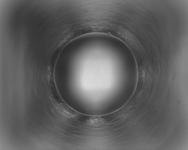X0000071900752200607141334