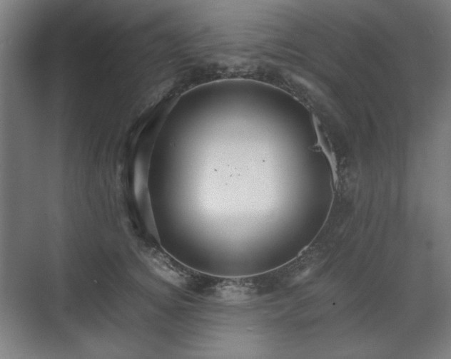 X0000071900756200607141334
