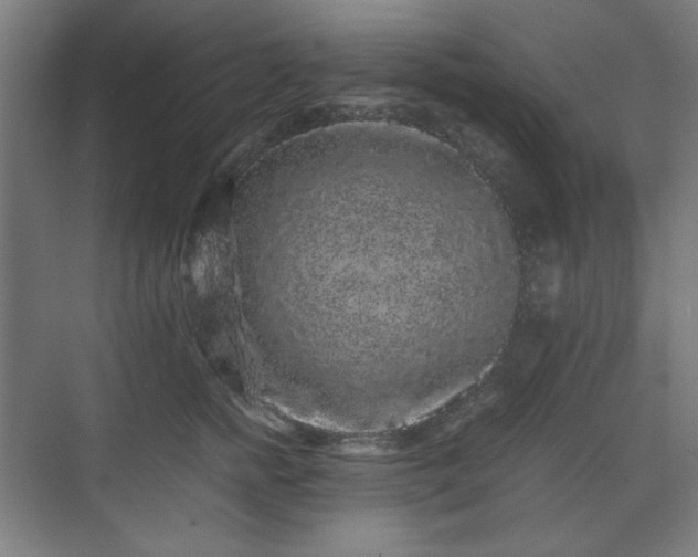 X0000071900758200607141334