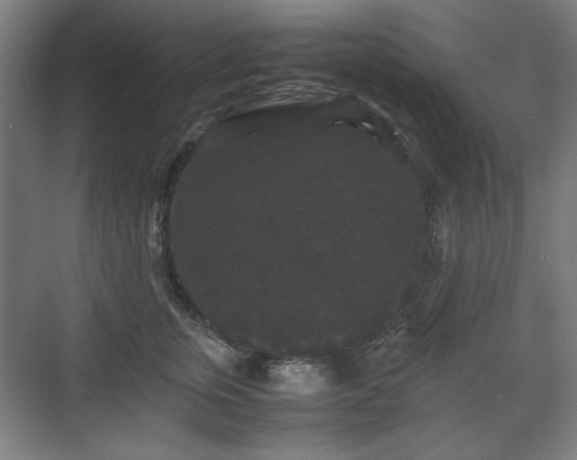 X0000071900759200607141334