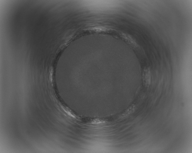 X0000071900760200607141334