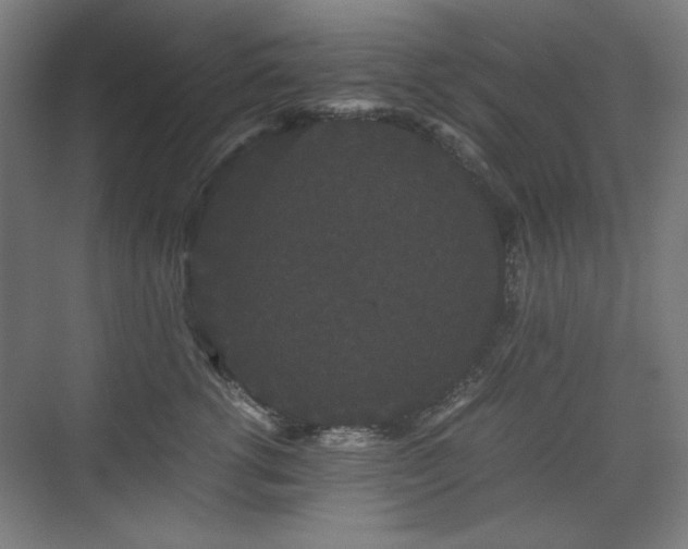 X0000071900762200607141334