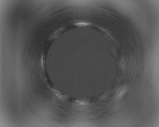 X0000071900763200607141334