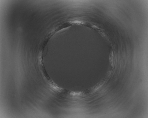 X0000071900767200607141334