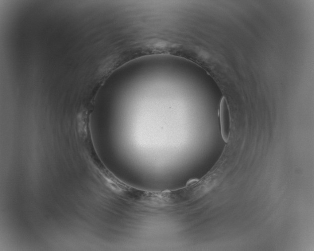 X0000071900768200607141334