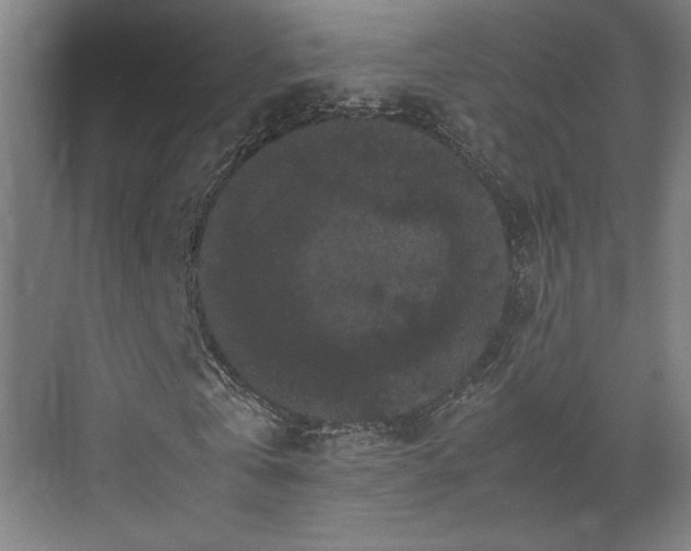 X0000071900769200607141333