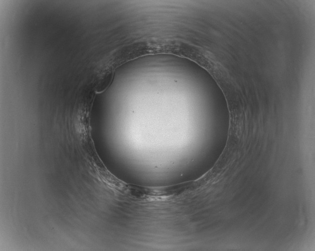 X0000071900770200607141333