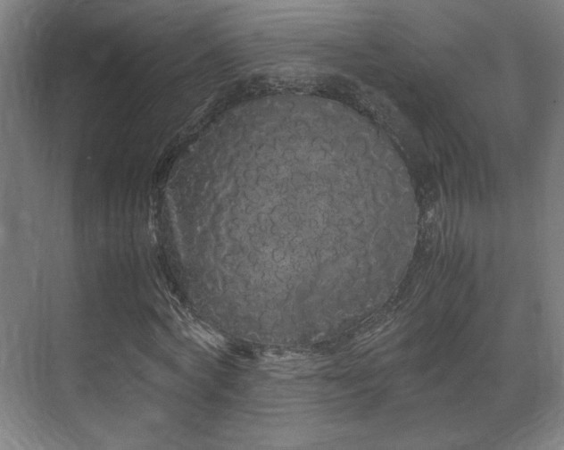 X0000071900772200607141333