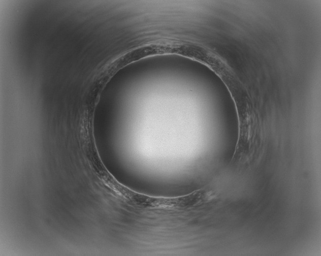 X0000071900773200607141333