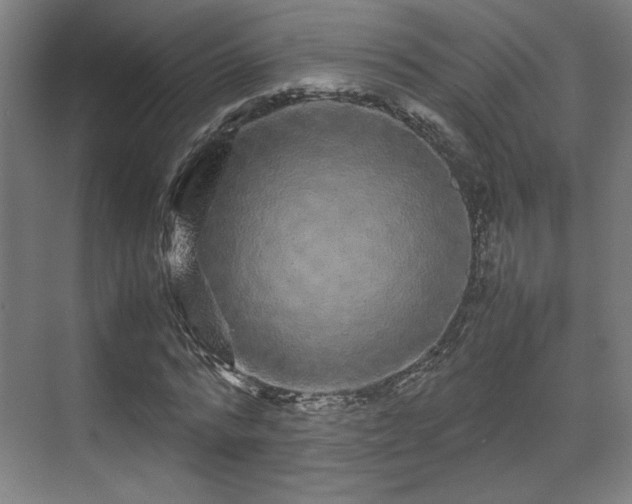 X0000071900776200607141333