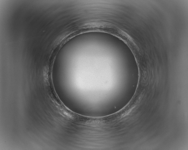 X0000071900778200607141333