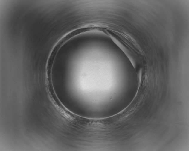 X0000071900784200607141333