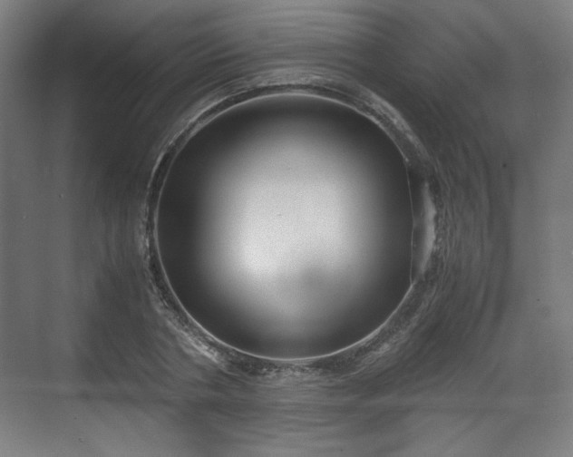 X0000071900786200607141333