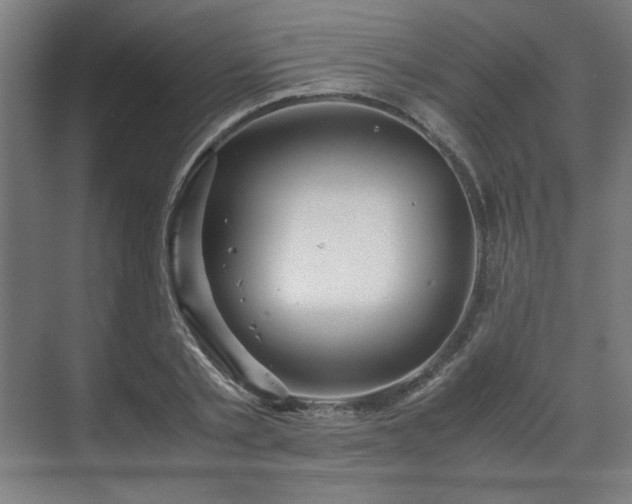 X0000071900789200607141333