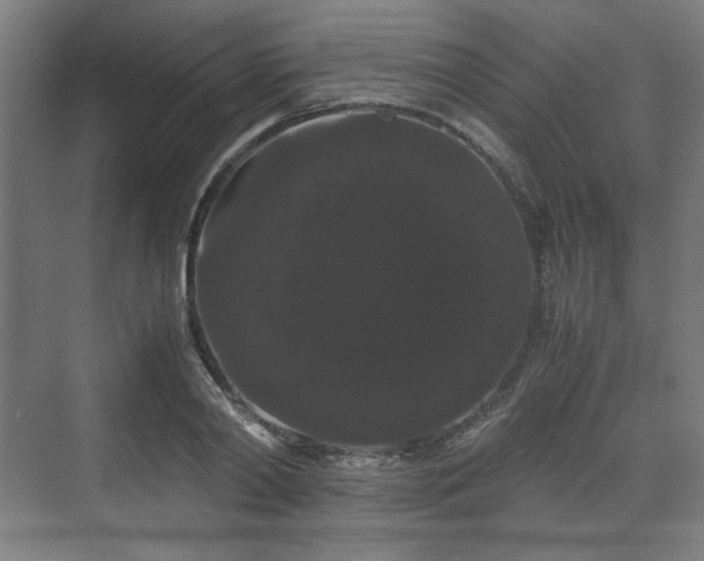 X0000071900790200607141333