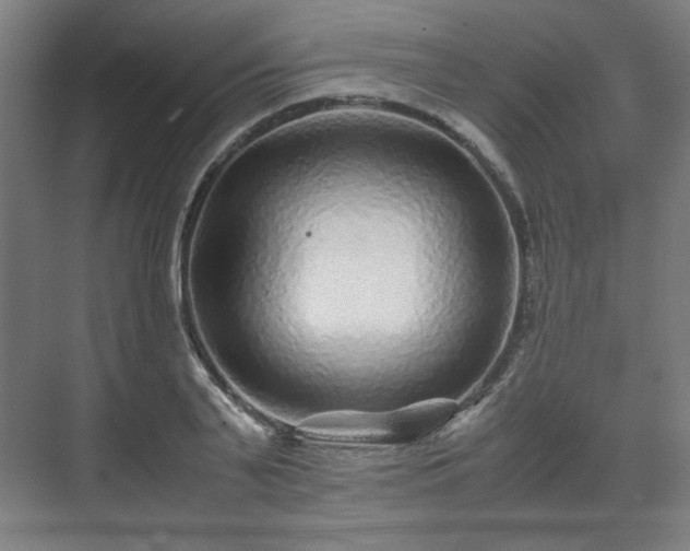 X0000071900791200607141333