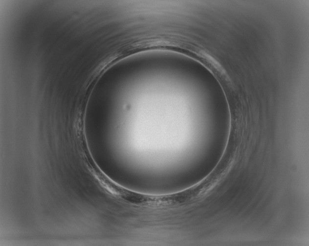 X0000071900793200607141333