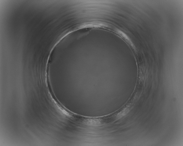 X0000071900802200607141333