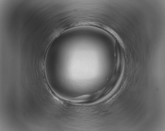 X0000071900809200607141333