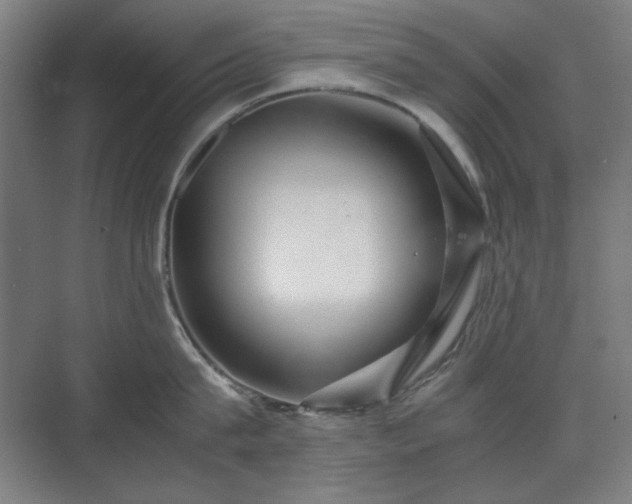 X0000071900815200607141333