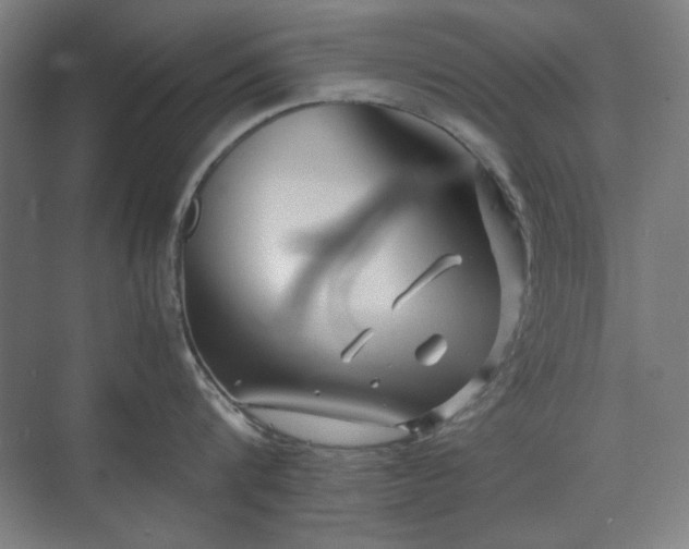 X0000071900816200607141333