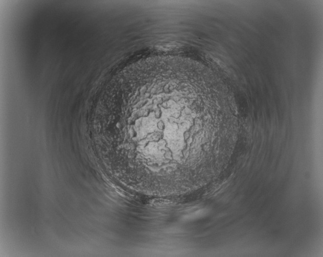 X0000071900817200607141332
