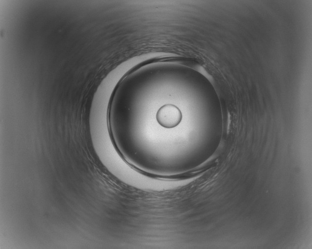 X0000071900818200607141332