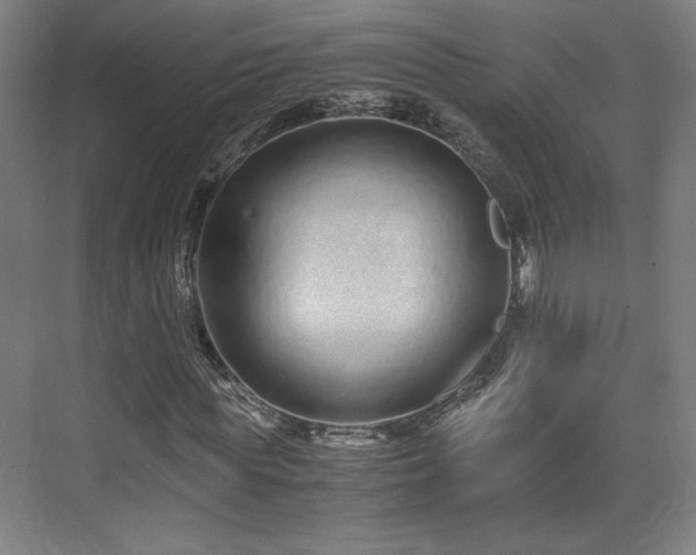 X0000071900819200607141332