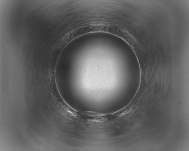 X0000071900821200607141332