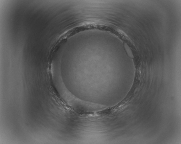 X0000071900822200607141332