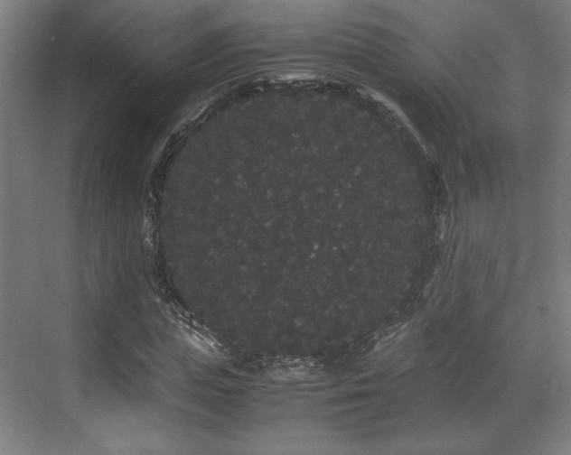 X0000071900823200607141332