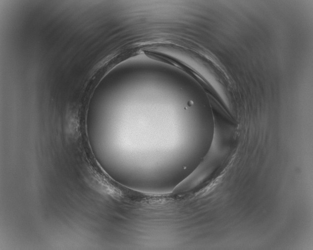 X0000071900826200607141332