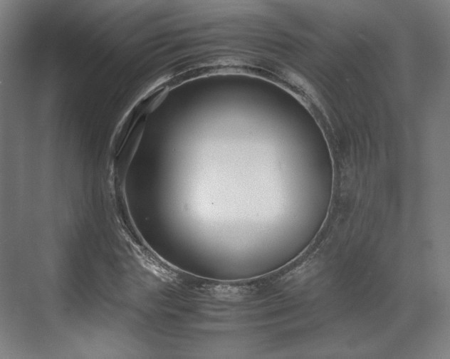 X0000071900827200607141332