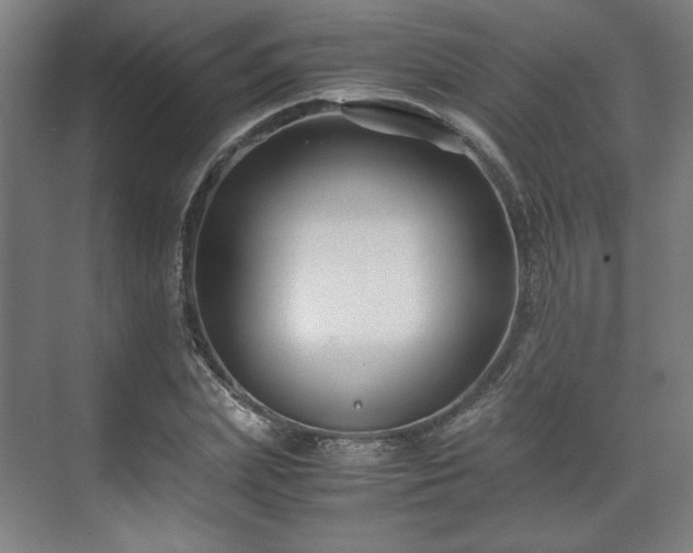 X0000071900831200607141332