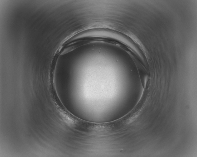 X0000071900834200607141332