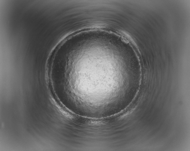 X0000071900835200607141332