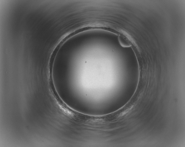 X0000071900837200607141332