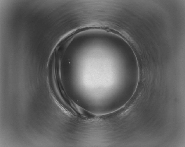 X0000071900838200607141332