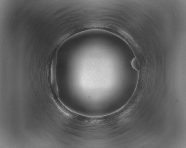 X0000071900841200607141332