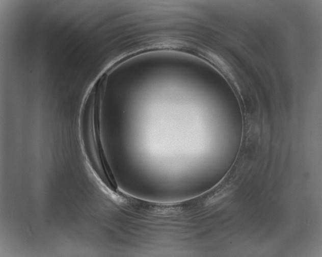 X0000071900843200607141332